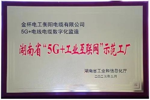 七年磨一剑 金杯电缆获评湖南省 5G 工业互联网 示范工厂